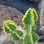 Vila Splendid Casa Papagayo, Heated Pool, Roofterrace With Views And Wifi Playa Blanca (Lanzarote)