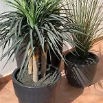 Splendid Casa Papagayo, Heated Pool, Roofterrace With Views And Wifi Vila *