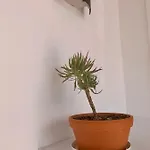 Splendid Casa Papagayo, Heated Pool, Roofterrace With Views And Wifi Playa Blanca (Lanzarote)