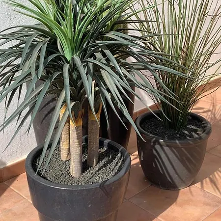 Splendid Casa Papagayo, Heated Pool, Roofterrace With Views And Wifi Villa *