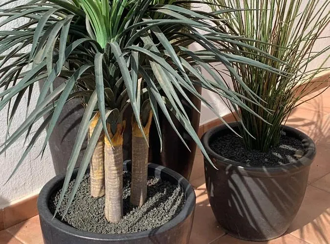 Splendid Casa Papagayo, Heated Pool, Roofterrace With Views And Wifi Villa *