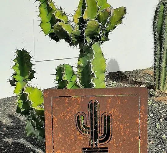 Splendid Casa Papagayo, Heated Pool, Roofterrace With Views And Wifi Villa *