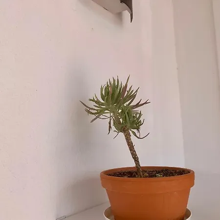 Splendid Casa Papagayo, Heated Pool, Roofterrace With Views And Wifi Playa Blanca (Lanzarote)