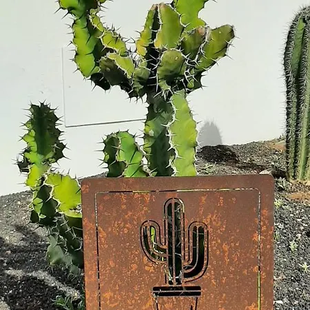 Splendid Casa Papagayo, Heated Pool, Roofterrace With Views And Wifi Willa *